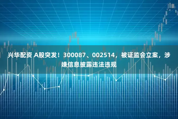 兴华配资 A股突发！300087、002514，被证监会立案，涉嫌信息披露违法违规
